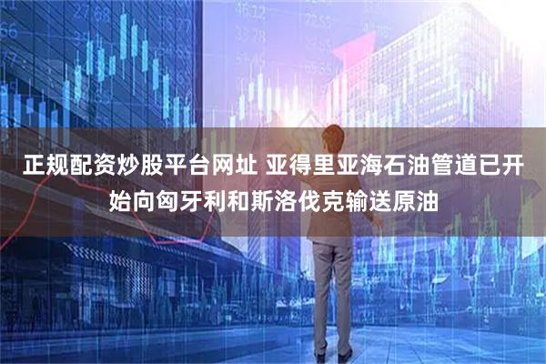 正规配资炒股平台网址 亚得里亚海石油管道已开始向匈牙利和斯洛伐克输送原油