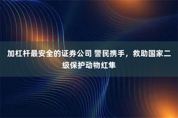 加杠杆最安全的证券公司 警民携手,救助国家二级保护动物红隼
